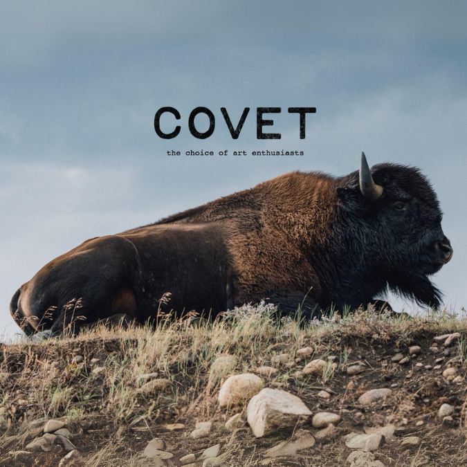 Covet Gift card