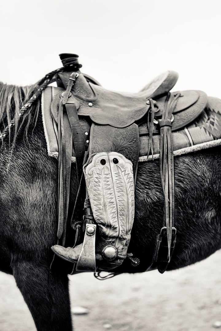 Silent Companion