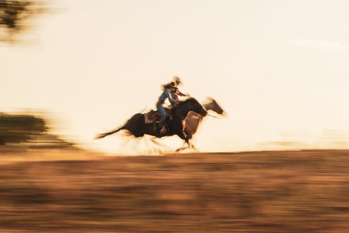 Full Gallop