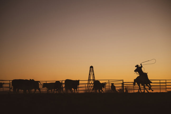 Sunset Lasso