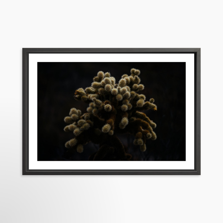 V- 39x26 / Black / Matted