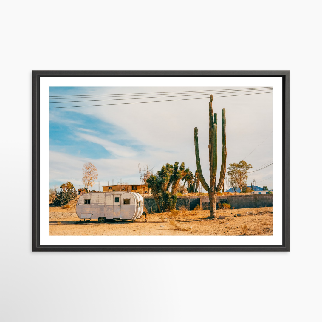 VI - 51x34 / Black / Matted