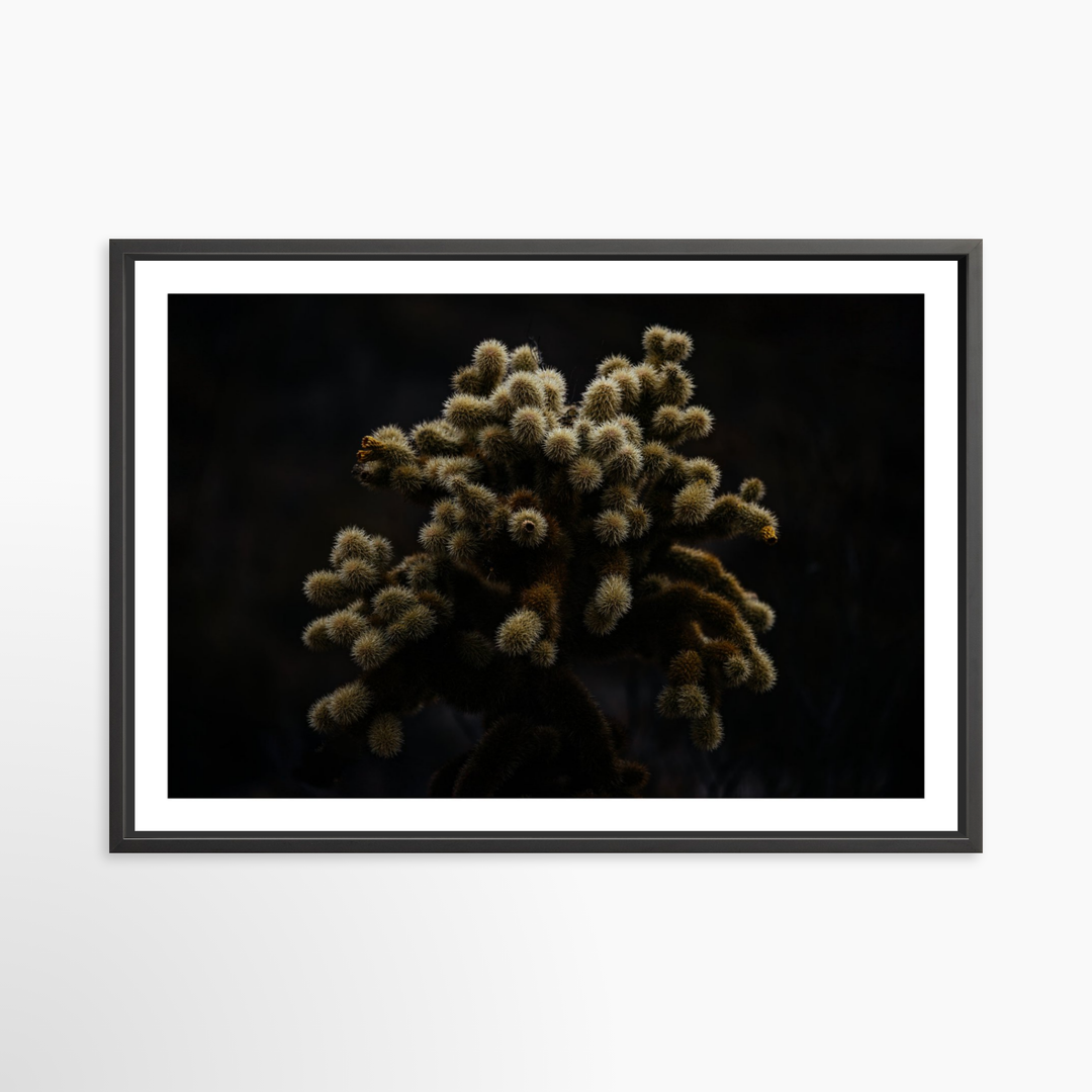 VI - 51x34 / Black / Matted