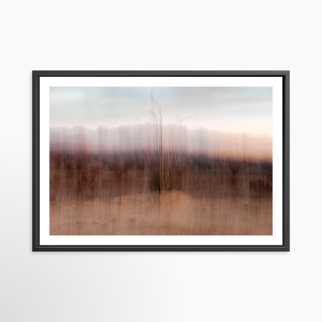 VI - 51x34 / Black / Matted