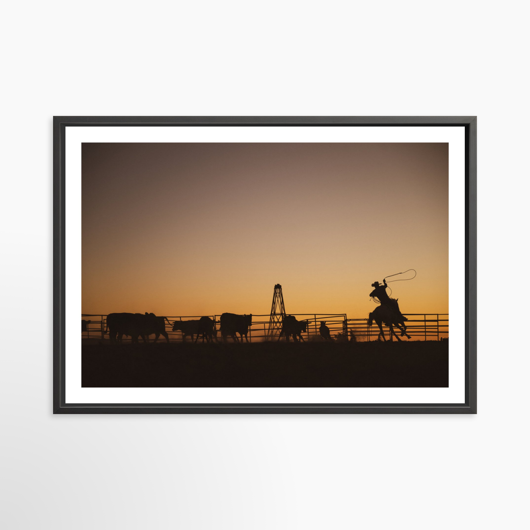 VI - 51x34 / Black / Matted