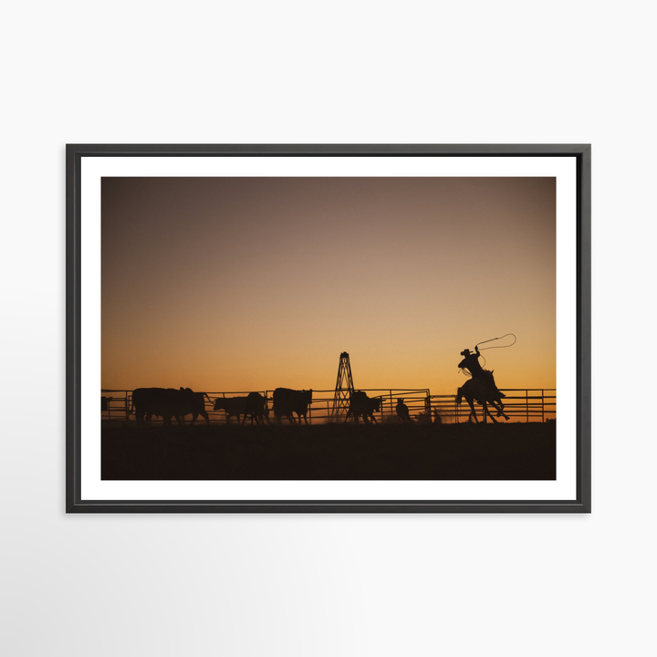 VI - 51x34 / Black / Matted