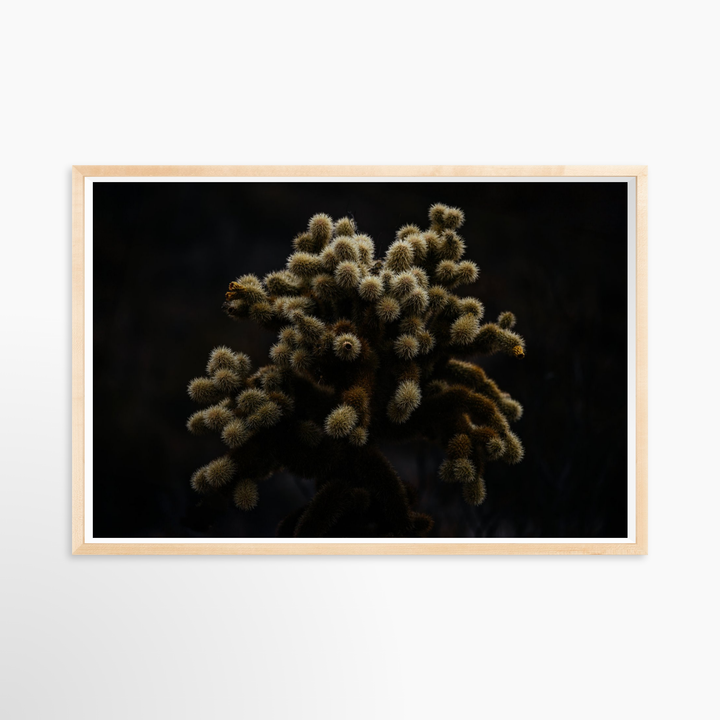 V- 39x26 / Natural / Full Bleed