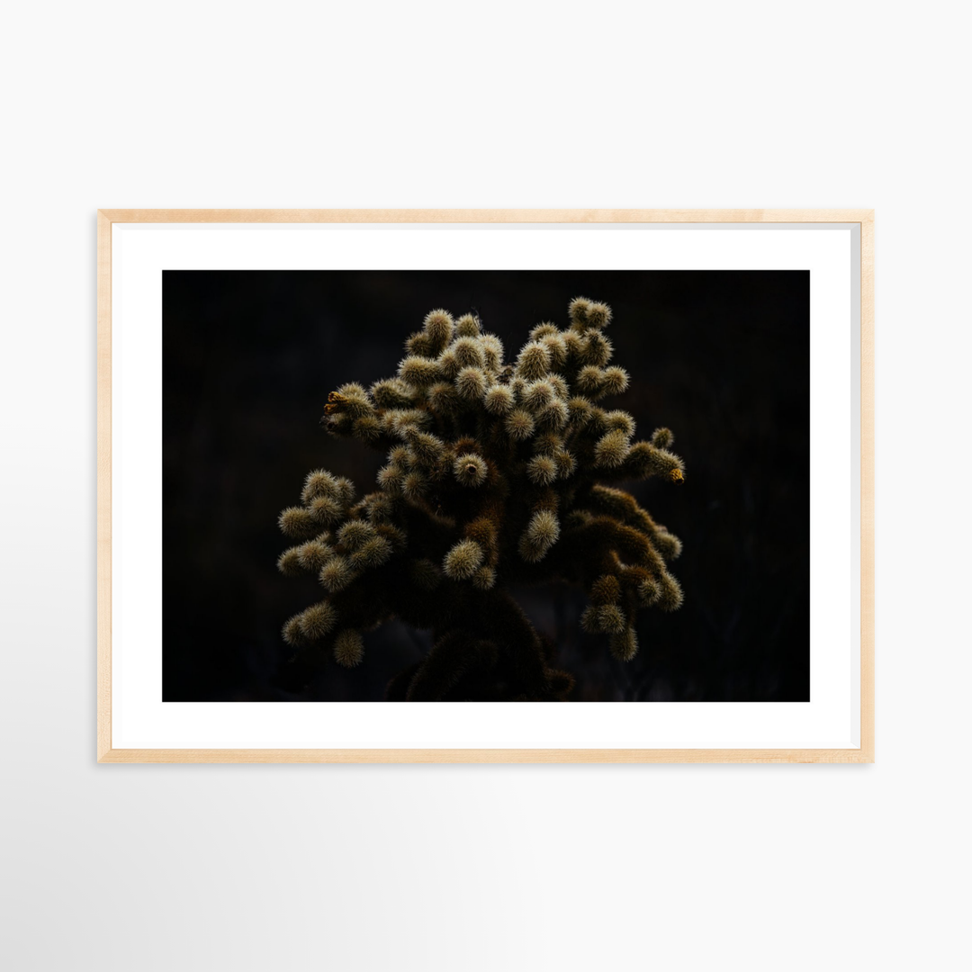 V- 39x26 / Natural / Matted