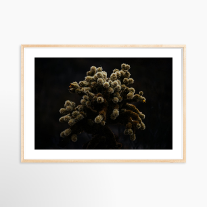 V- 39x26 / Natural / Matted