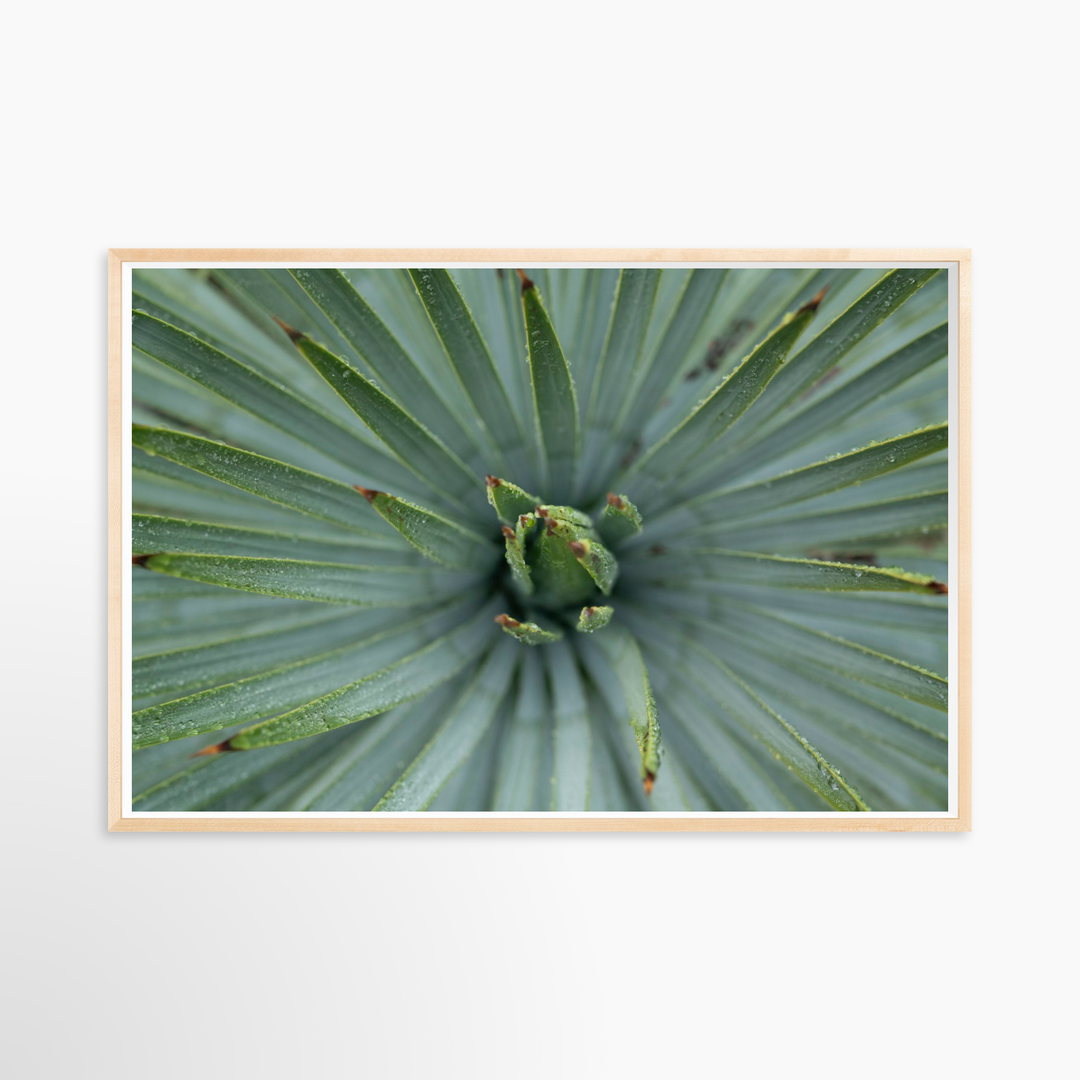 VI - 51x34 / Natural / Full Bleed