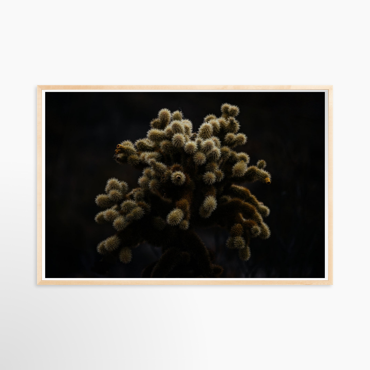 VI - 51x34 / Natural / Full Bleed