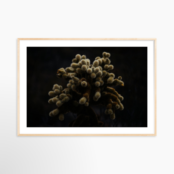 VI - 51x34 / Natural / Matted