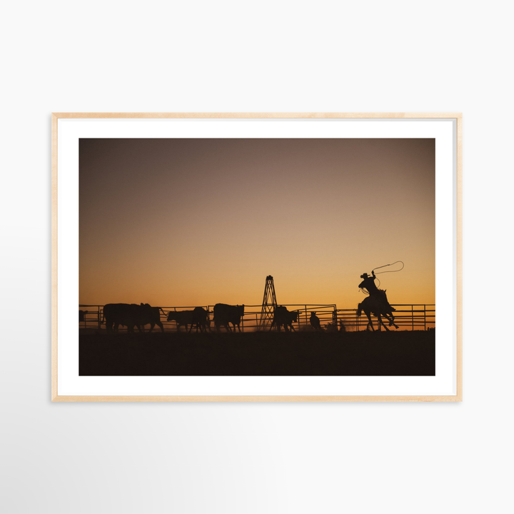 VI - 51x34 / Natural / Matted