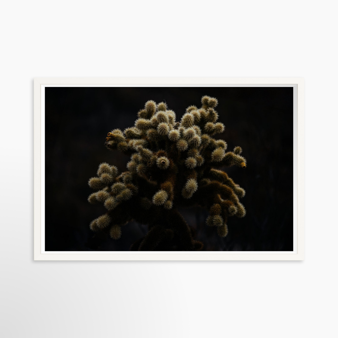 V- 39x26 / White / Full Bleed