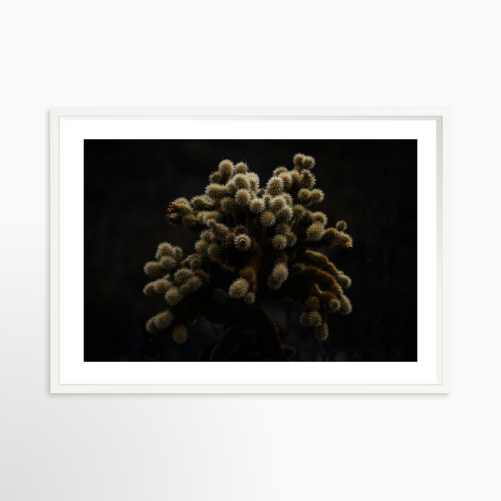 V- 39x26 / White / Matted