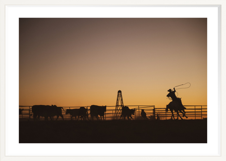 V- 39x26 / White / Matted