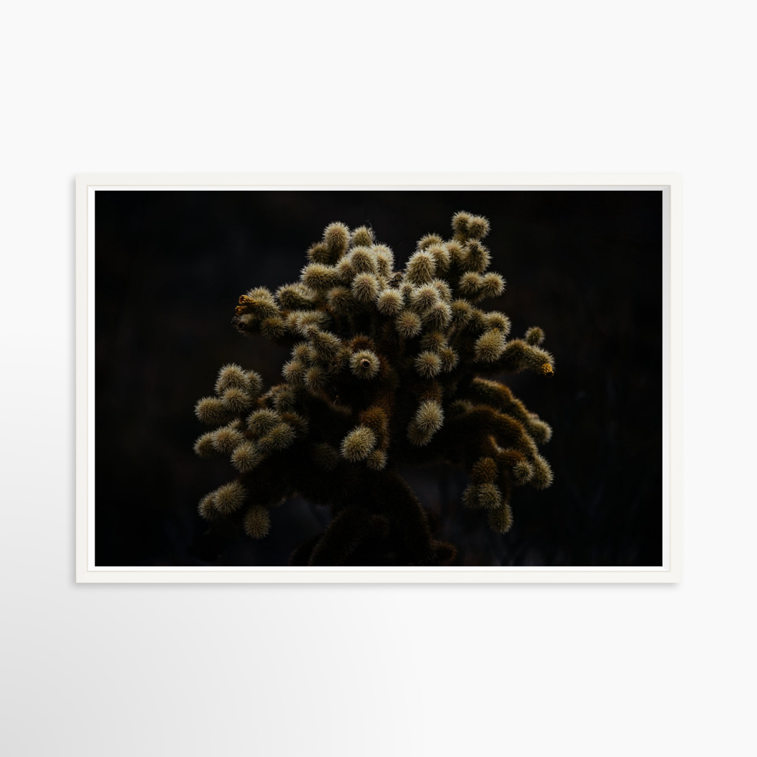 VI - 51x34 / White / Full Bleed