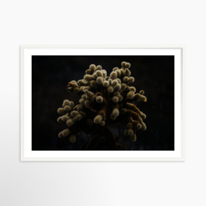 VI - 51x34 / White / Matted