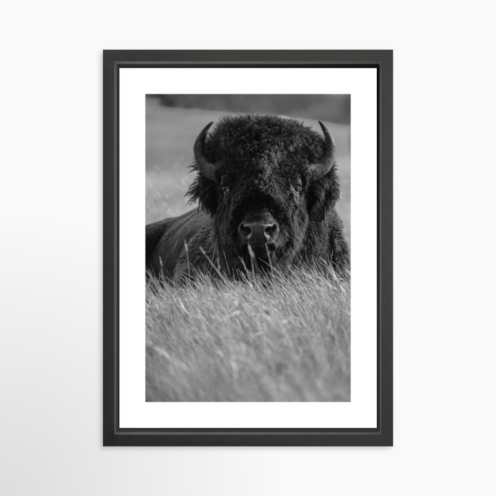 IV - 18x27 / Black / Matted