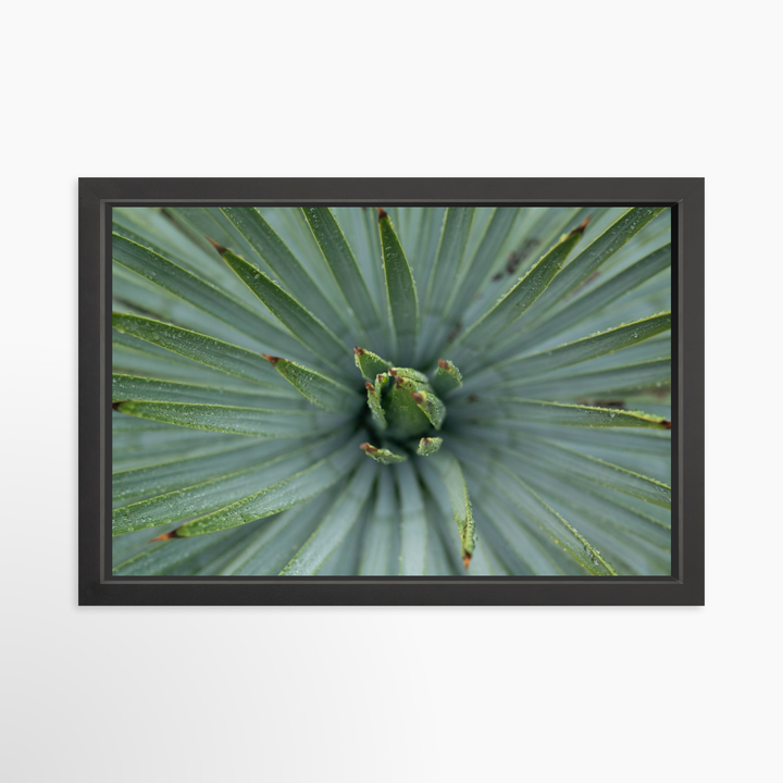 IV - 27x18 / Black / Full Bleed