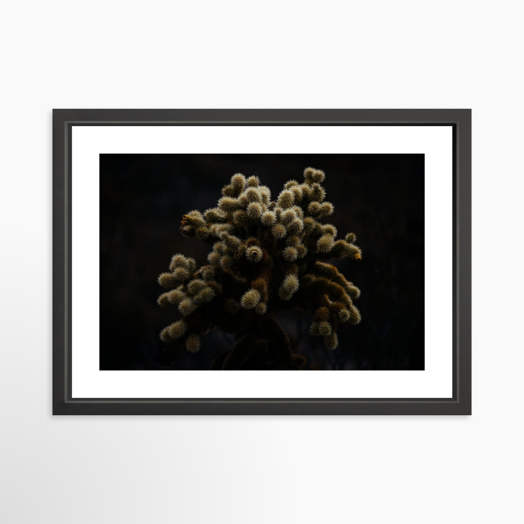 IV - 27x18 / Black / Matted