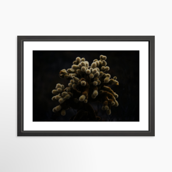 IV - 27x18 / Black / Matted