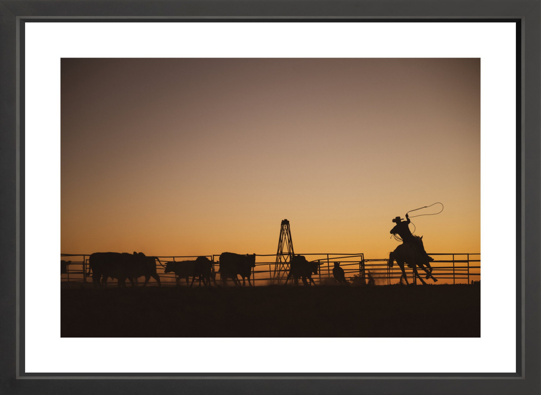 IV - 27x18 / Black / Matted