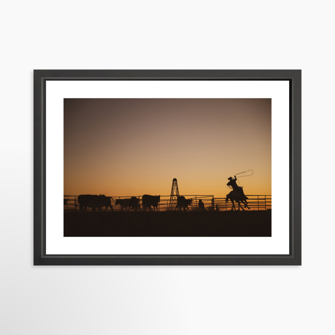 IV - 27x18 / Black / Matted