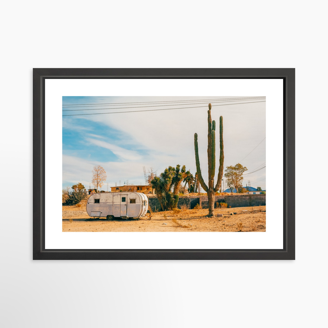 IV - 27x18 / Black / Matted