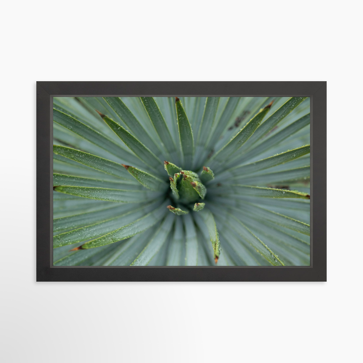 III - 19.5x13 / Black / Full Bleed