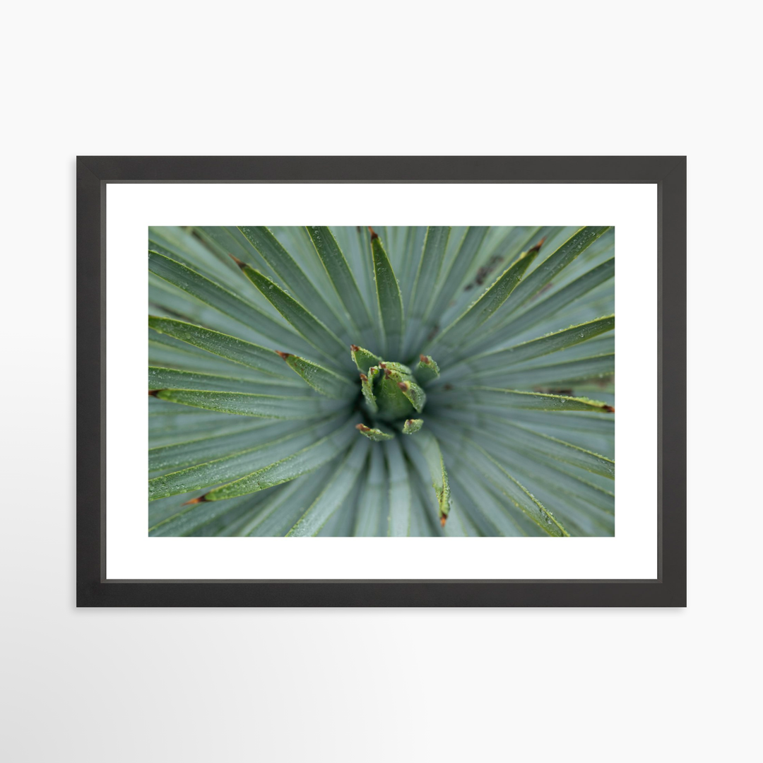 III - 19.5x13 / Black / Matted