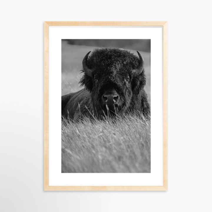 IV - 18x27 / Natural / Matted