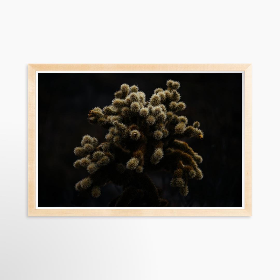 IV - 27x18 / Natural / Full Bleed