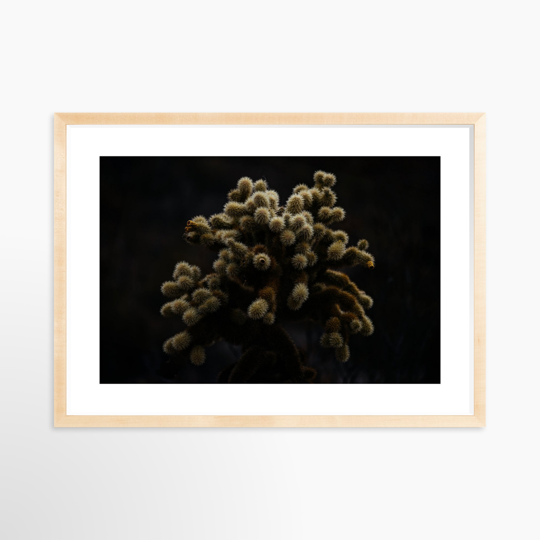 IV - 27x18 / Natural / Matted