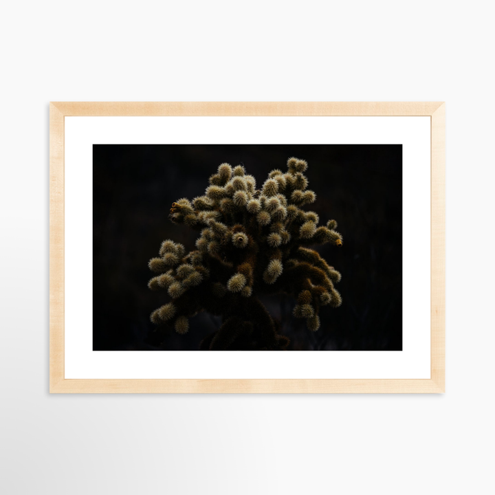 III - 19.5x13 / Natural / Matted