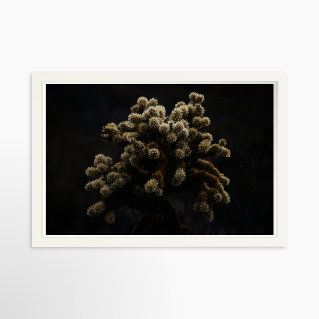 IV - 27x18 / White / Full Bleed