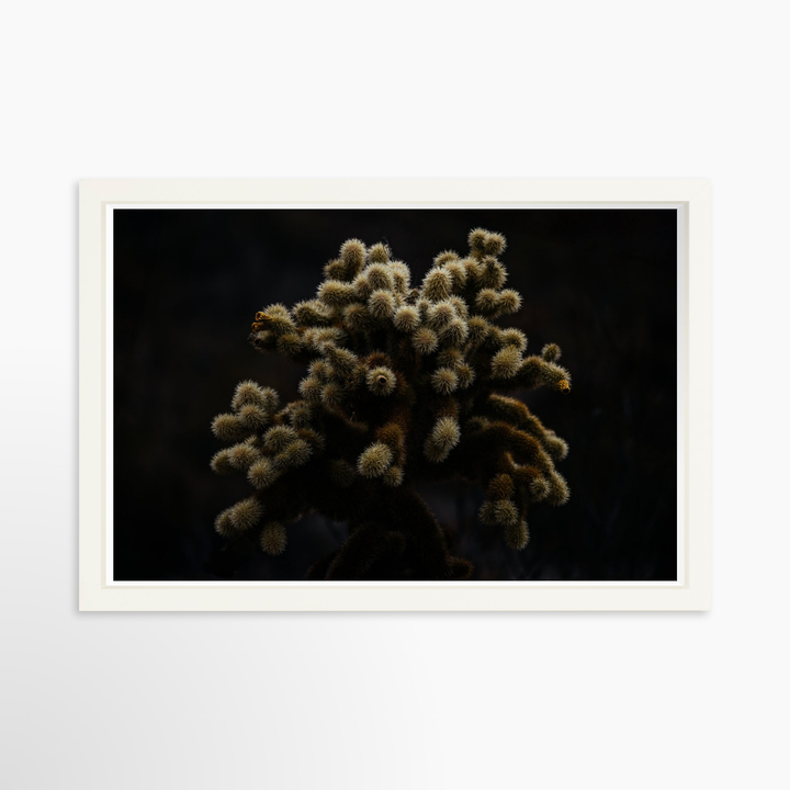 IV - 27x18 / White / Full Bleed