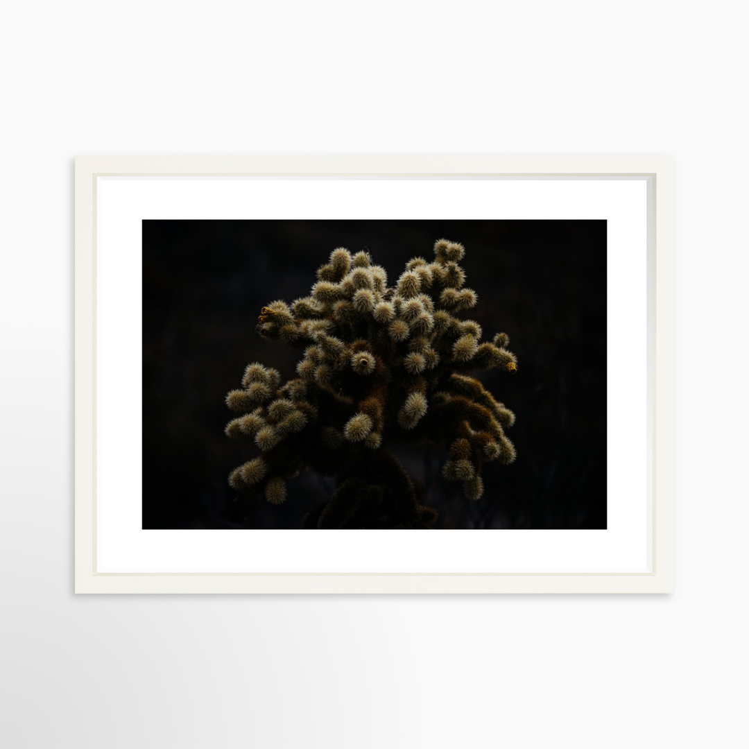 IV - 27x18 / White / Matted