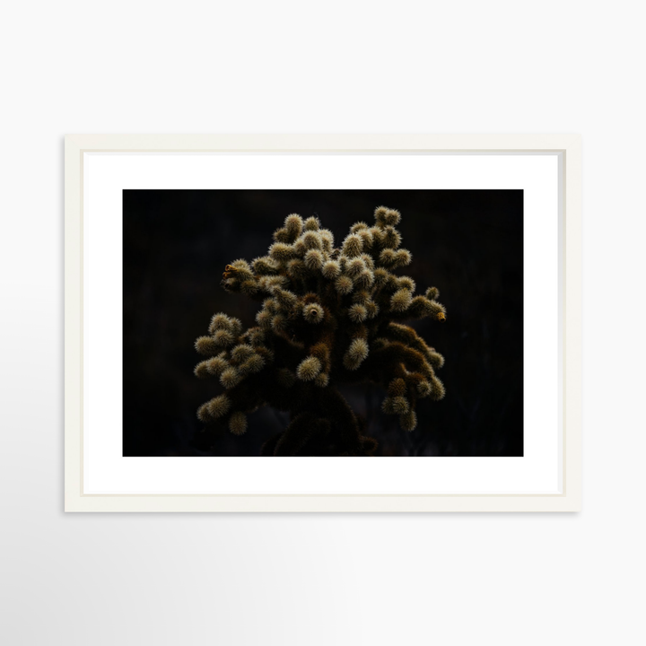 IV - 27x18 / White / Matted