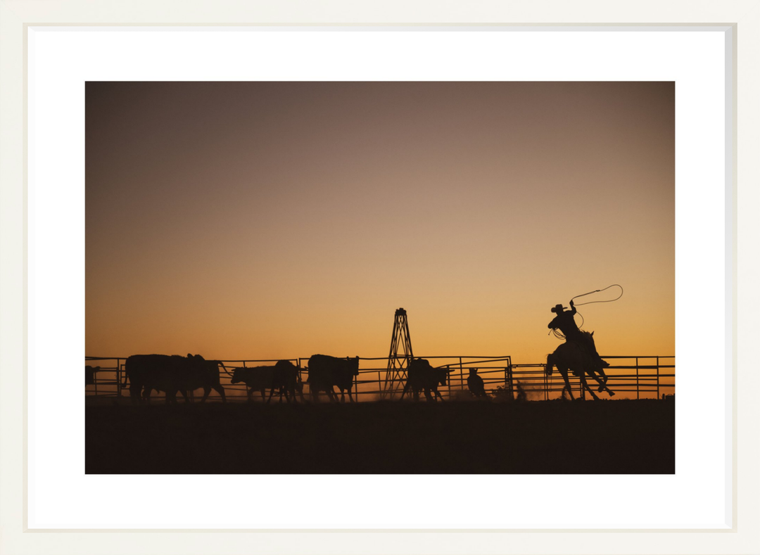 IV - 27x18 / White / Matted