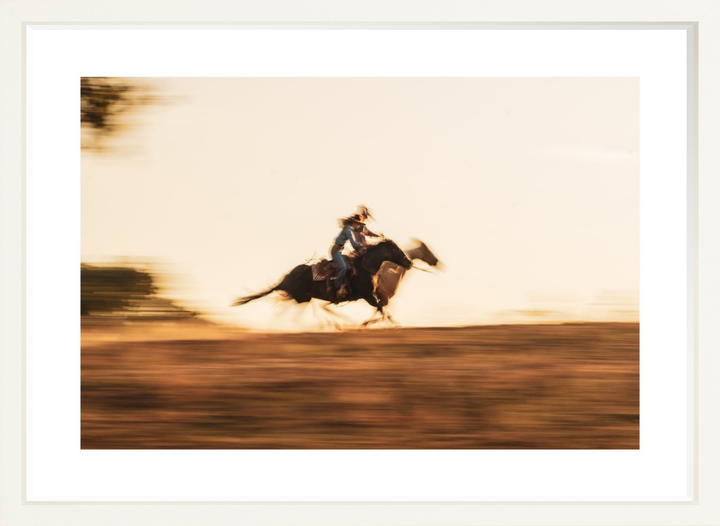 IV - 27x18 / White / Matted