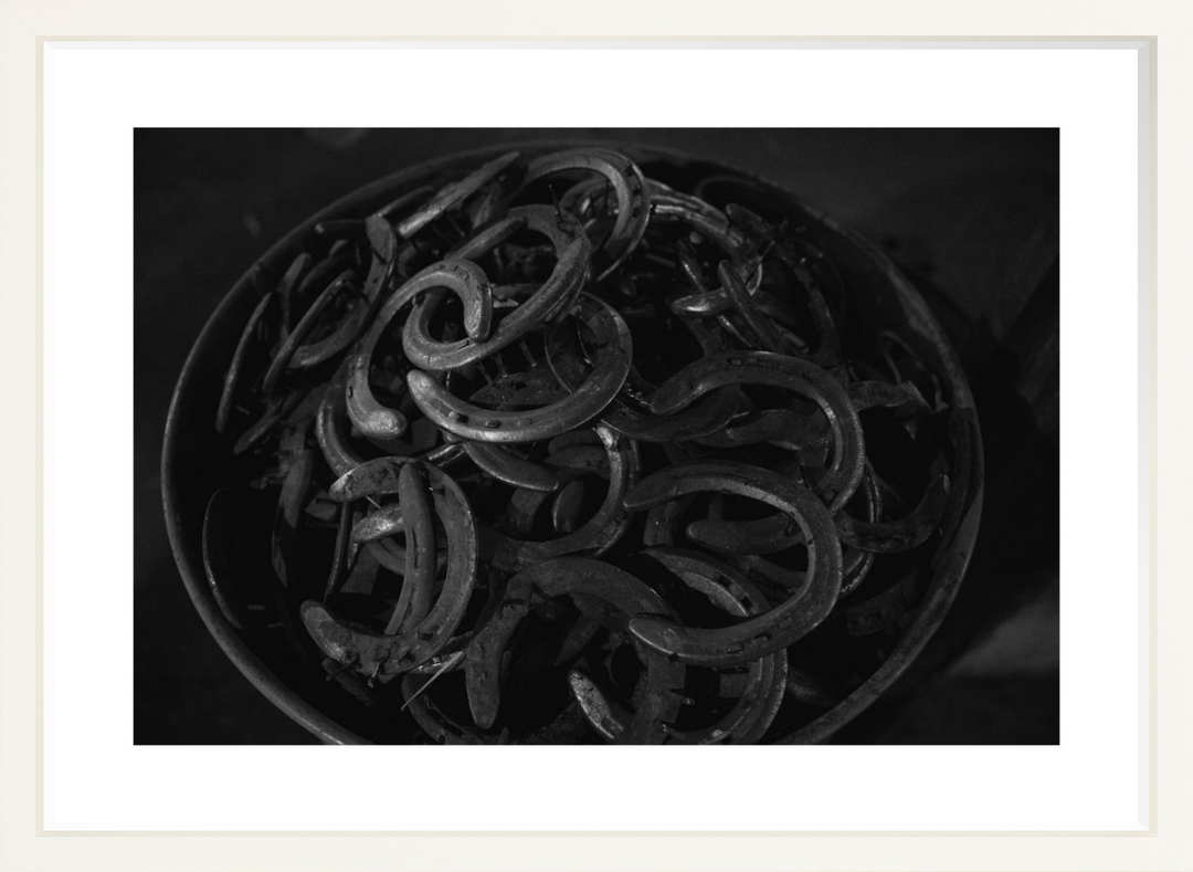 IV - 27x18 / White / Matted