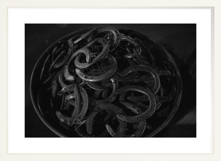 IV - 27x18 / White / Matted