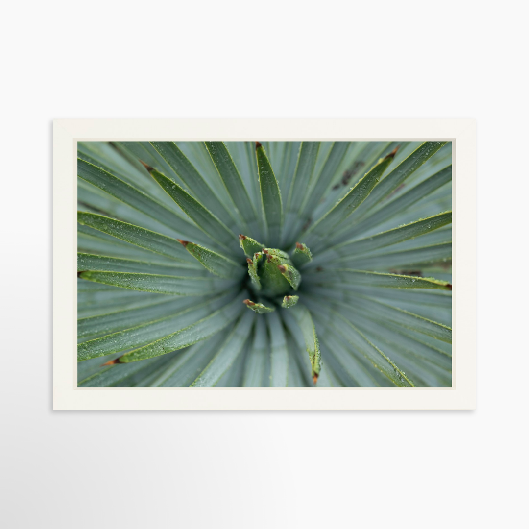 III - 19.5x13 / White / Full Bleed