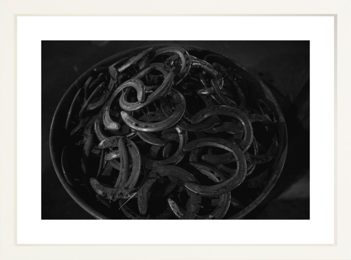 III - 19.5x13 / White / Matted