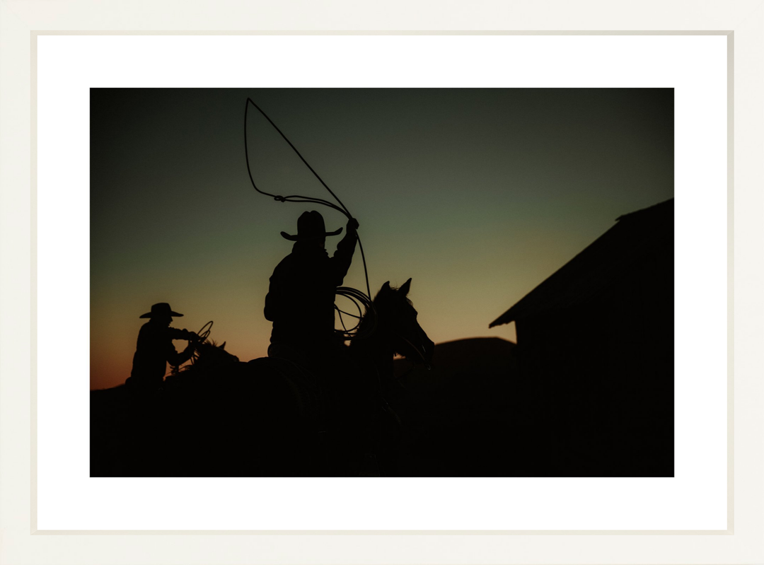 III - 19.5x13 / White / Matted