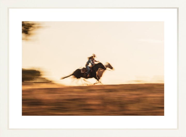 III - 19.5x13 / White / Matted