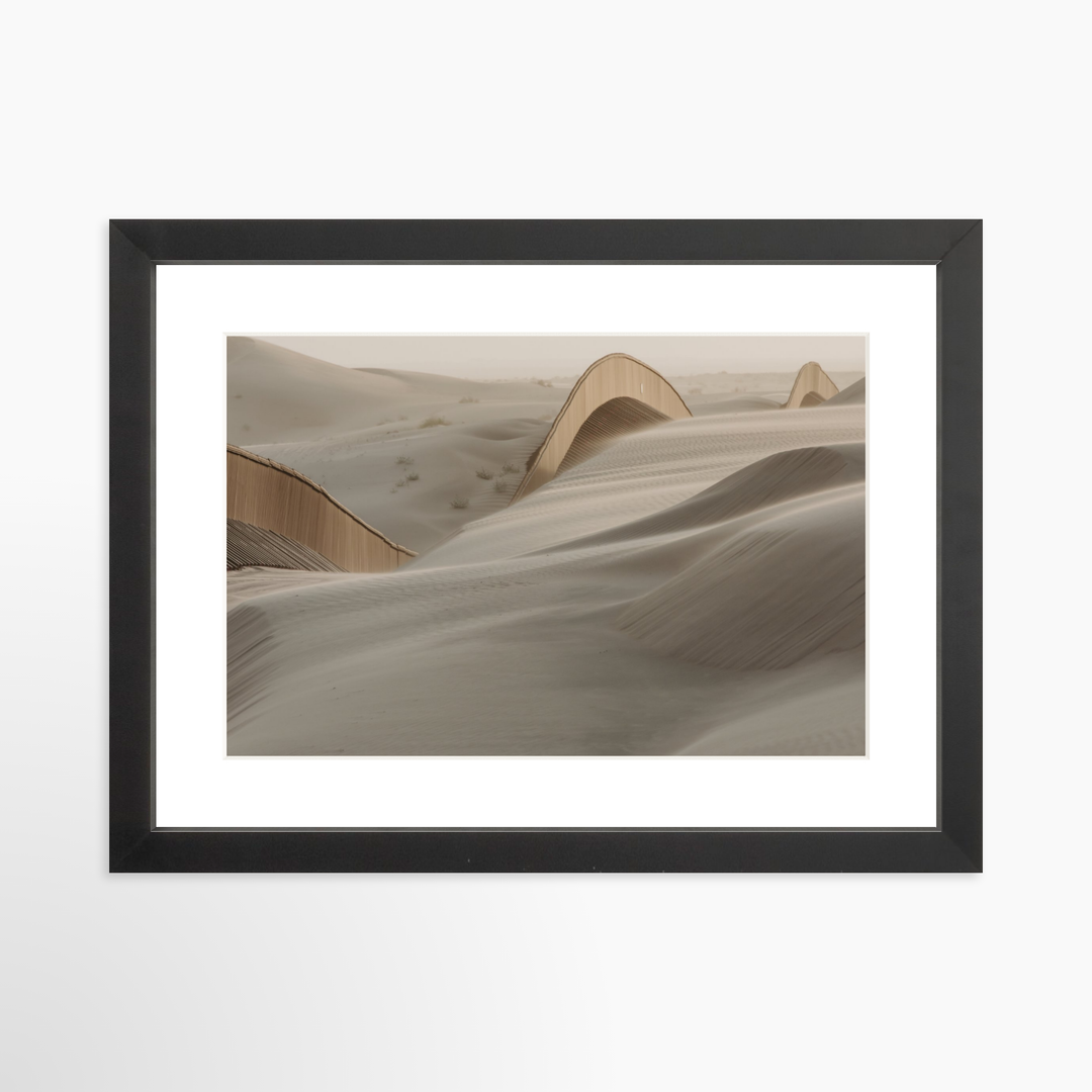 II - 12x8 / Black / Matted