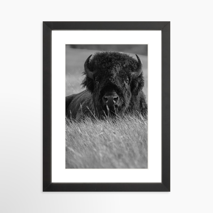 II - 8x12 / Black / Matted