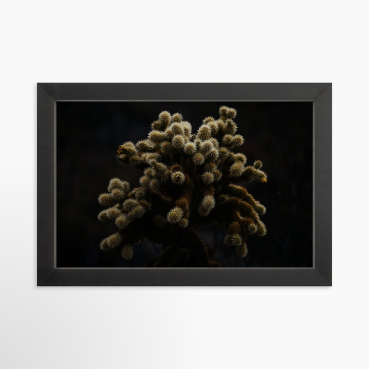 II - 12x8 / Black / Full Bleed